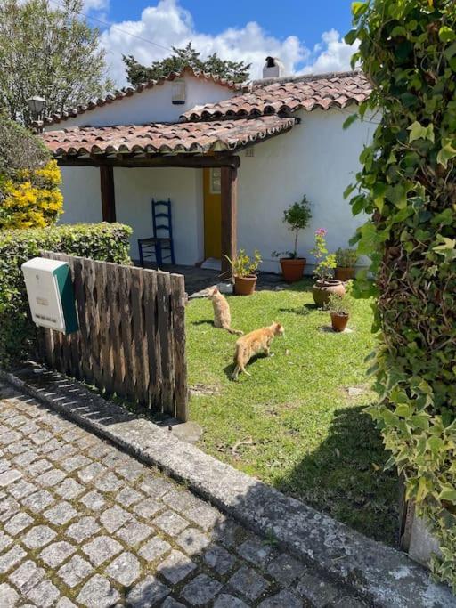 Ocean, Surf, Golf Private Villa With Pool Near Lagoon Casal do Narcizo エクステリア 写真