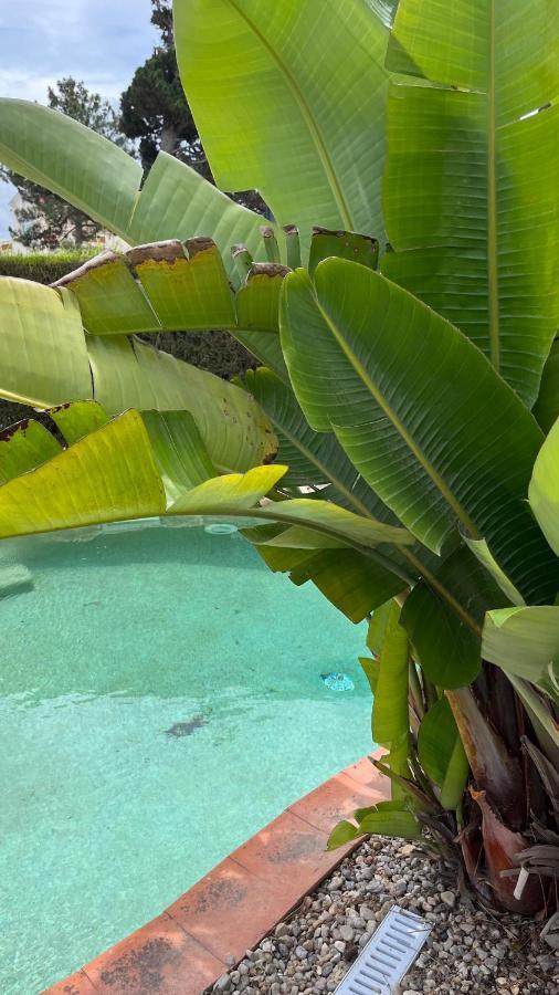 Ocean, Surf, Golf Private Villa With Pool Near Lagoon Casal do Narcizo エクステリア 写真